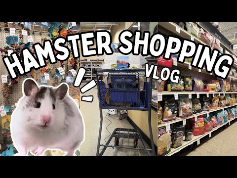 Shopping for my Hamster + Haul! | VLOG 🛒