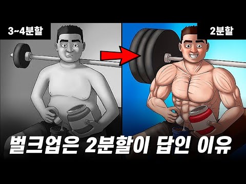 직장인은 2분할로 운동해야 몸이 빠르게 커지는 이유