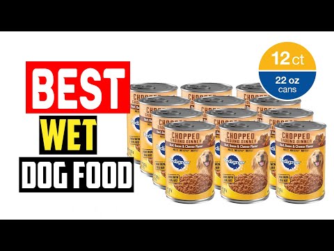 ✅Top 5 Best Wet Dog Food in 2024