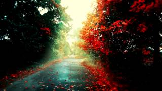 'Autumn Colours' - Chillstep Mix