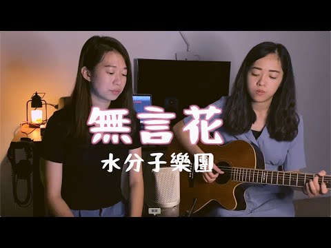 【水分子樂團愛cover】無言花（江蕙） #onetake 未修音版