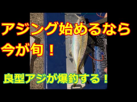 【アジング】アジング始めるなら今が旬！良型アジが爆釣する！！　＃津山ベース