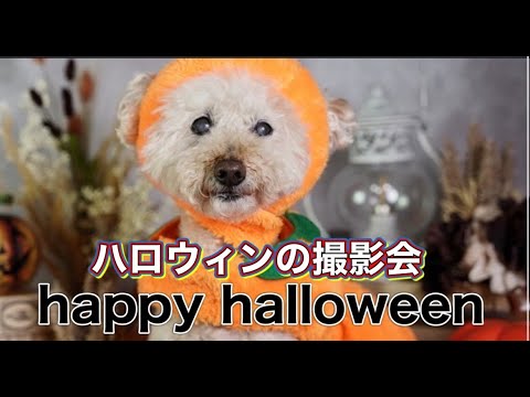 happy halloween　ハロウィンの撮影をしてもらったらかわいすぎた☺️💓