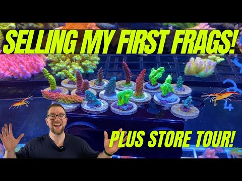 Selling my first frags! Plus store tour