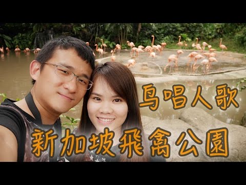 Minions found in Singapore Jurong Bird Park | BananaMilkyTV