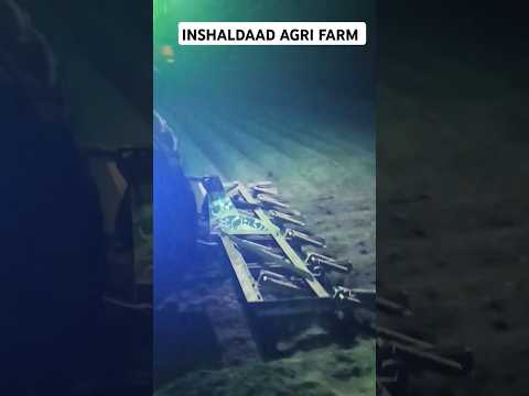 Potato Seeding AT NIGHT! || DAAD'S AGRI FARM || #farming #shortvideo #agriculture #farmerslife