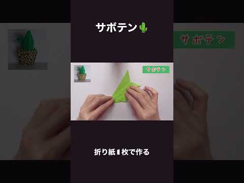 サボテン🌵の作り方　cactus