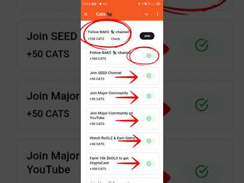 All Task complete | free crypto code | boost your cats earnings | complete the quest high load