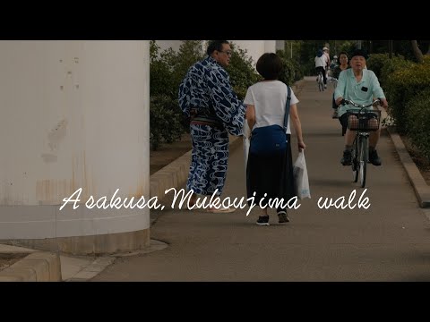 Take a walk around Asakusa and Mukaijima area aiming for cherry blossom rice cake.