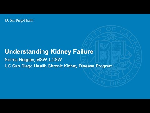 Understanding Kidney Failure