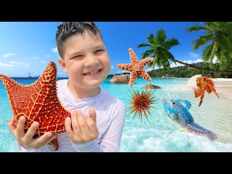 BUG HUNT in the OCEAN!! FAMILY FUN BEACH DAY! Caleb & Dad Play in The Sand and Find Sea Creatures!