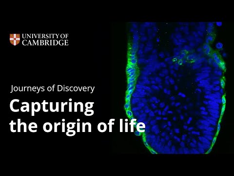 Journeys of Discovery: Capturing the origin of life