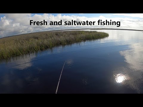 Bass and Flounder! Catch, clean, cook!