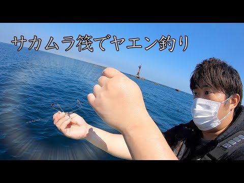 【さかむら筏】中紀でヤエンと浮きでアオリイカ釣り【新シーズン】