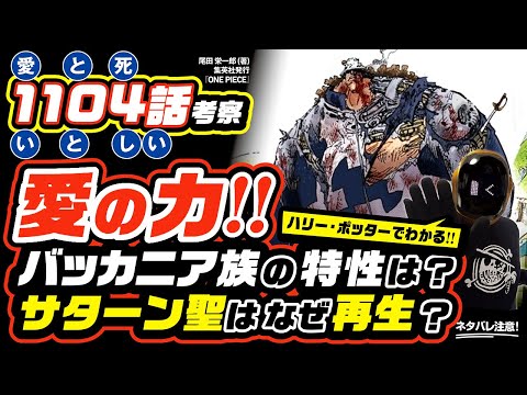 【 ONE PIECE 1104 】くまの愛の力!! ワンピース ネタバレ 最新話 バッカニア族の特性は!? サターン聖の再生能力とは!? ハリー・ポッターでわかる!? 1105話も大予想!!