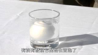 2 07 07 海水酸化實驗