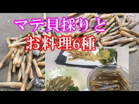 潮干狩り　マテ貝とりと簡単お料理6種類　砂抜き　茹で、漬け、天ぷら、バターソテー、ペペロンチーノ、酒蒸しワイン蒸し　兵庫　たつの市　新舞子浜潮干狩り　ビーチハウス海岸物語