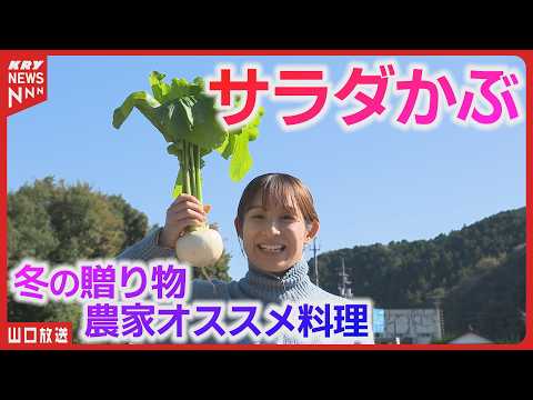 『サラダかぶ』旬の甘さ！生で食べる美味しさ・簡単レシピも／山口県美祢市