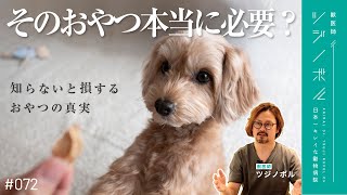 【おやつ】健康で長生きを望むのならおやつはやめましょう【獣医師ツジノボル】