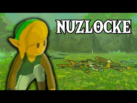 Zelda Tears Of The Kingdom While Doing A Nuzlocke Challenge