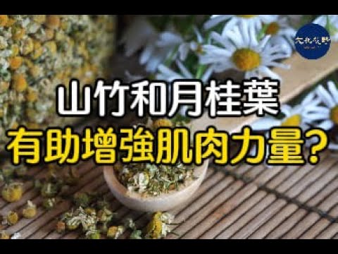 【健康】山竹和月桂葉或有助增強肌肉力量【文化視野】