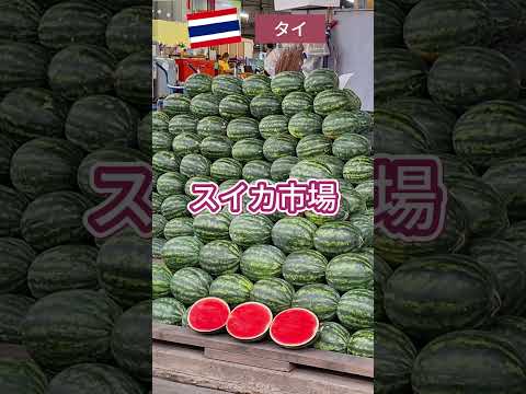 タイの食材がお得に手に入る市場をご紹介！　#海外 #タイ  #旅行 #グルメ #タラートタイ  #shorts