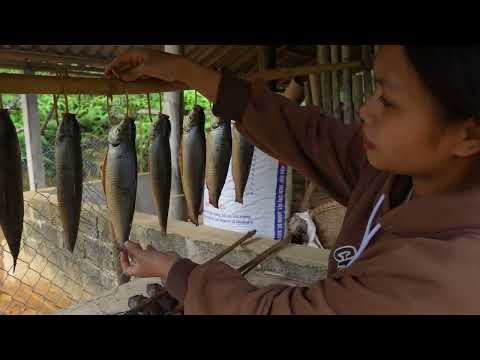 Process Harvesting Fish & Cooking - Smoked Fish Making - Poor single Mother