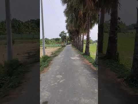 অপরূপ সৌন্দর্য্যের ভিতর #shortvideo #shorts #short #foryou