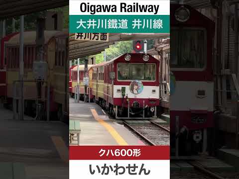 【南アルプスあぷとライン】大井川鐵道井川線 クハ600形【電車が大好きな子供向け】Japanese Trains for Kids - Oigawa Railway Ikawa Line