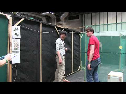 Airsoft Surgeon 2020 Championship Shield Cup Shooter Video 14