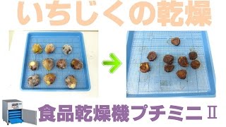 [ドライいちじく]食品乾燥機プチミニⅡでいちじくの乾燥