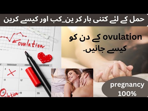 Pregnancy k liye kitni bar kre or kab & kaisy kre |Right time for sex| ovulation days kaisy pta kre