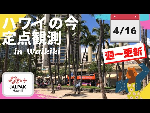 【ハワイの今】ワイキキ定点観測  2024年4月16日