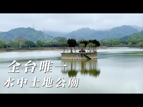 桃園大溪[十一指古道],[頭寮大池]及全台獨一無二的[水中土地公廟]