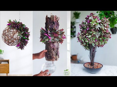 3 Inch Plant Projects: Elevate Your Space with These Creative Plants Ideas//GREEN DECOR