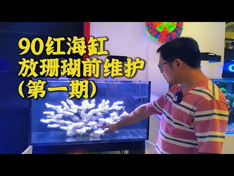 90红海缸终于要放珊瑚啦！先进行一下换水维护