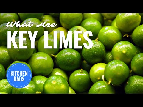 What is a Key Lime | Tropical Fruit in Maui