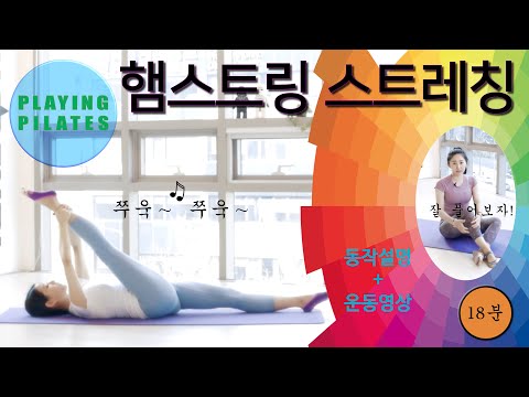 [Playing Pilates]허벅지 스트레칭 운동❤️Hamstring Stretch Workout [홈트레이닝 필라테스]