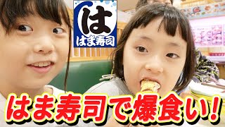 【大好評】みんな大好きお寿司を食べまくる！【はま寿司】