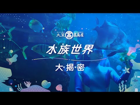 大葉高島屋-水族世界大揭密