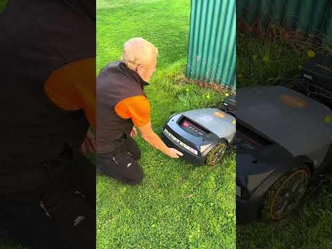 You wont BELIEVE it! STIHL iMow EVO Robot Lawn Transformation! #imow #stihl #roboticmower #mowing