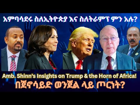 አም/ር ዴቪድ ሺን ስለአፍሪቃ ቀንድና ፕሮጀክት 2025 ምን አሉ? #TigraiPress #Ethiopia #TigrayWar #Eritrea #RedSea #tplf