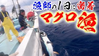 激闘！大迫力！巨大マグロ ついに釣った！【マグロ漁の1日に密着 後編】