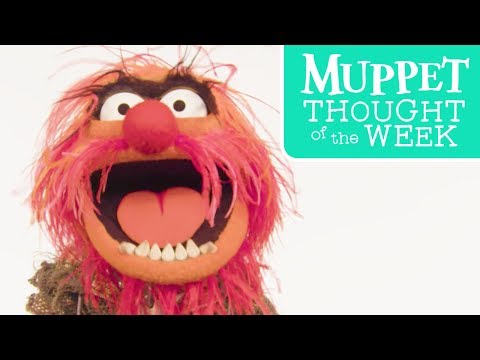 Muppet Thought of the Week ft. Animal | The Muppets