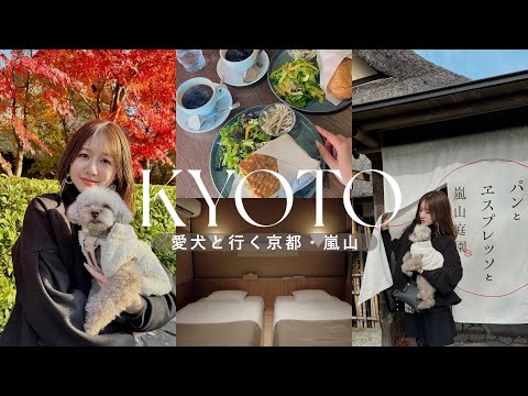 【京都旅】2泊3日紅葉の京都🍁愛犬と嵐山カフェで美味しい朝食🥪 #tripvlog