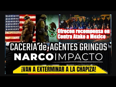 5 Shocking Reasons Narcos Offer REWARDS for Gringo Agents!