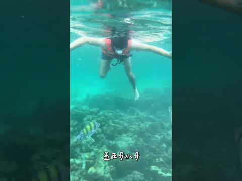 泰國phi phi island 值得去嗎🇹🇭🥹Is it worth to go to Phi Phi island?