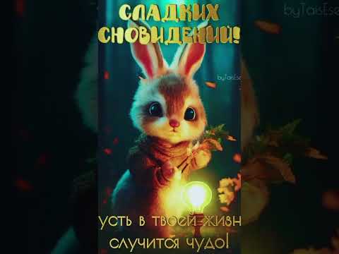 Доброй ночи 🤗🤗🤗