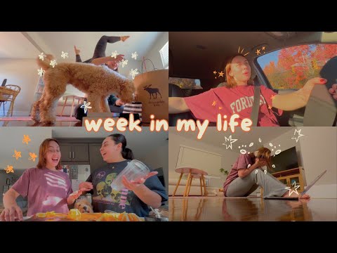 WEEK IN MY LIFE | workout routine, wellness, productivity, adventures with my pup and gf