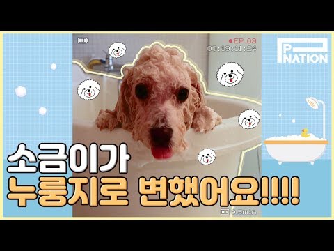 현아잉 (HyunA-ing) E09: 소금이 목욕시키기 (SoGeum's Bath TIme)